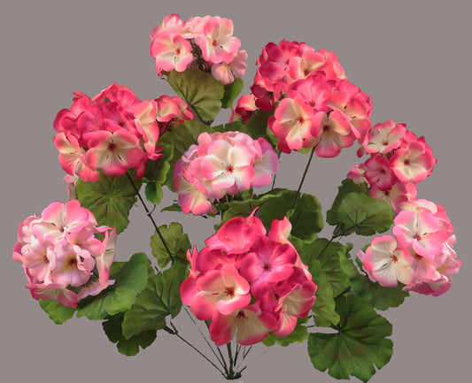 CS21957-TTPNK        X14 GERANIUM      Pink/White