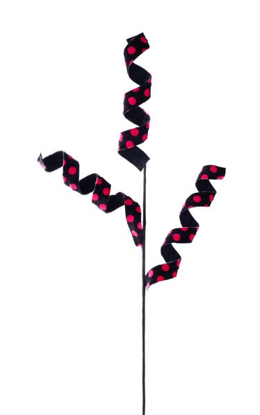 MN036140  29"L Polka Dot Velvet Curly Ribbon Spray Black/Hot Pink