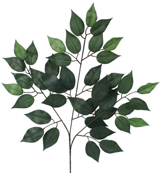 FG505430  23"L Ficus Spray   Tt Green