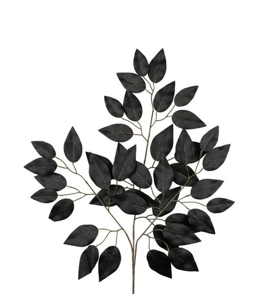 FG633702  23"L Ficus Spray, Black