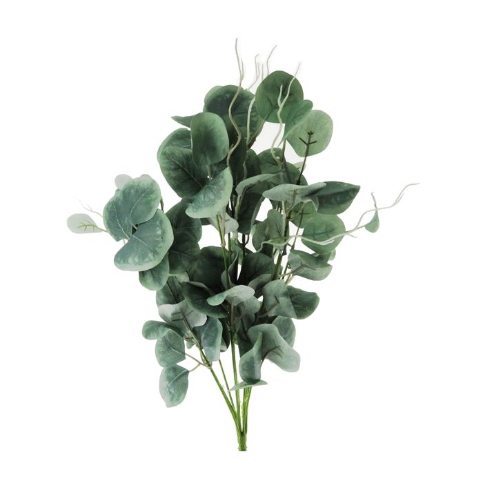 CS21546   X10 Silver Dollar Eucalyptus Bush    Green