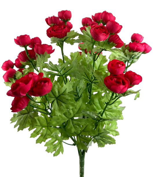 63514BT     17"H   Mini Ranunculus Bush    Fushia