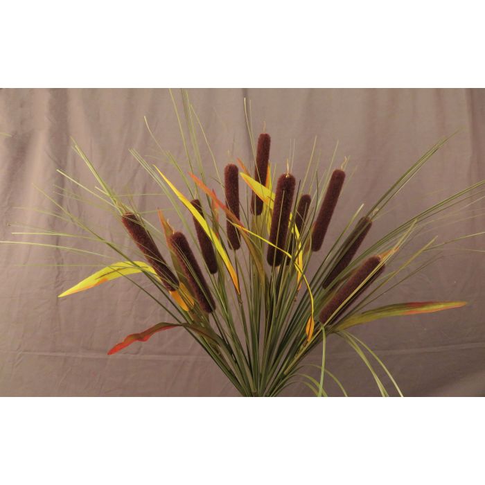 CS21627    X 10 Cattail