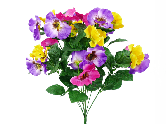 35103PUYWBT    H19      Satin Pansy Bush x 12